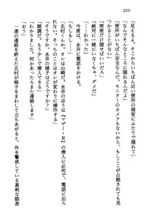 電脳エンジェル！ 天使の微笑が夢を殺す, 日本語