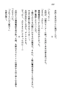 電脳エンジェル！ 天使の微笑が夢を殺す, 日本語