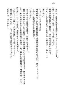 電脳エンジェル！ 天使の微笑が夢を殺す, 日本語