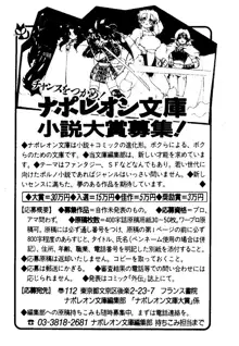 電脳エンジェル！ 天使の微笑が夢を殺す, 日本語