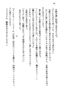 電脳エンジェル！ 天使の微笑が夢を殺す, 日本語