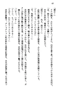 電脳エンジェル！ 天使の微笑が夢を殺す, 日本語