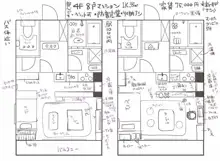 おなこちゃんの絵日記, 日本語