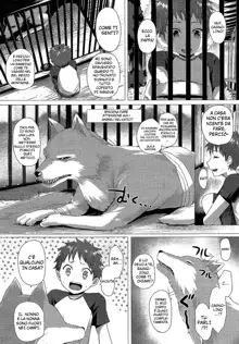 Heisei Hourouki | Chronicle of a Heisei Pleasuring Wolf, Italiano