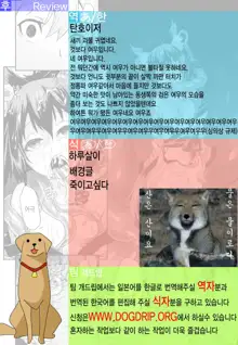 Youtai, 한국어