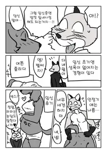 Kitsune Otoko to Inu Yome no Yoru no Seikatsu. Ato Shussan., 한국어