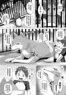 Heisei Hourouki | Chronicle of a Heisei Pleasuring Wolf, 中文