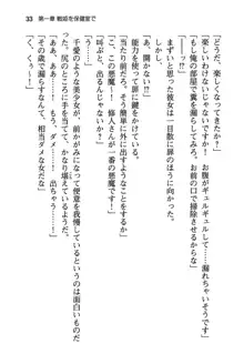 清楚な戦姫と高貴な魔王を飼育調教!, 日本語