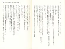 ご奉仕メイドは性処理上手「あなたの言うことなら何でも聞きます! 」, 日本語