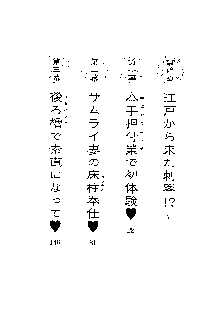 サムライガールは俺の嫁！？, 日本語