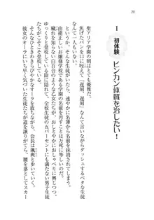 生徒会長は俺の嫁！？！？, 日本語