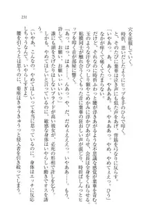 生徒会長は俺の嫁！？！？, 日本語