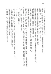 生徒会長は俺の嫁！？！？, 日本語