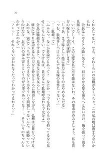 生徒会長は俺の嫁！？！？, 日本語