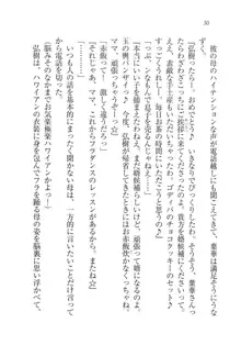 生徒会長は俺の嫁！？！？, 日本語