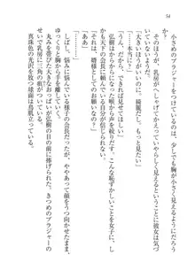 生徒会長は俺の嫁！？！？, 日本語