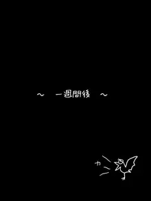 クソ生意気なバカ妹を悪魔の呪文で言いなりの下僕に調教する!, 日本語