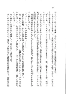 ホントに撮っちゃうよ？ 生徒会長さん, 日本語