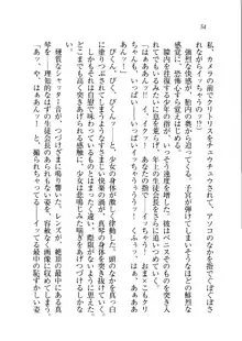 ホントに撮っちゃうよ？ 生徒会長さん, 日本語