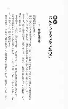 いちゃいちゃラブラブお姉ちゃん, 日本語