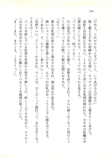 ウィアードハンター 時空妖術書の謎, 日本語