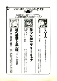 ウィアードハンター 時空妖術書の謎, 日本語