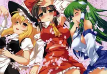 Touhou Ryoujoku 17 Full Color, 中文