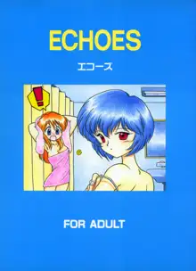 Echoes, 中文