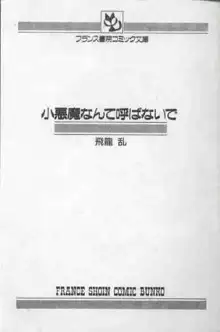 小悪魔なんて呼ばないで, 日本語