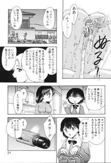 べびー・ふぇいすっ!, 日本語