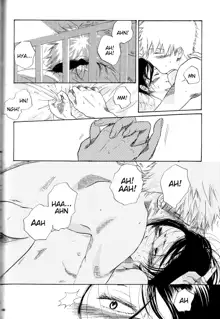 Otona no Tame no Ichiruki Anthology "Kiss &!", English