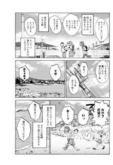 ひるがお 第1-2, 4, 14-34話, 日本語