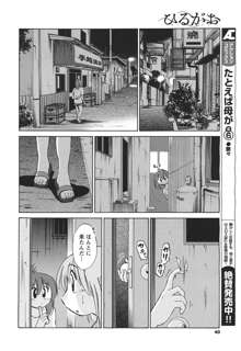 ひるがお 第1-2, 4, 14-34話, 日本語