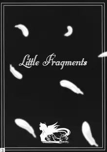 Little Fragments, 日本語