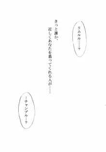 真鏡名ミナさん誕生日記念本んまりびーぐすーじさびらー, 日本語