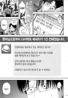 One Piece, 한국어