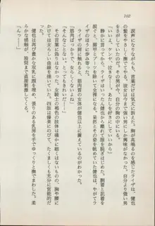 異界の守護神 魔皇騎ディ・オ－ス, 日本語