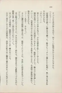 異界の守護神 魔皇騎ディ・オ－ス, 日本語