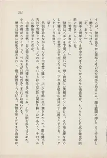 異界の守護神 魔皇騎ディ・オ－ス, 日本語