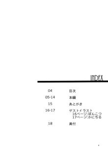 ペットボトラーフラン, 日本語