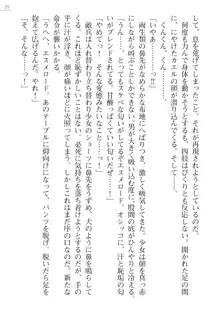 エンジェルシードプラス３　―小牧小夜奮戦記―, 日本語