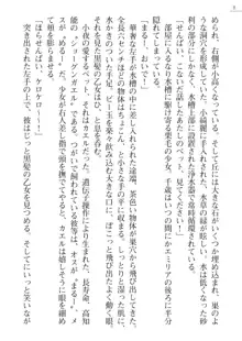 エンジェルシードプラス３　―小牧小夜奮戦記―, 日本語