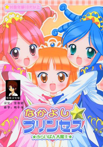 Nakayoshi Princess | Friendship Princess, 中文