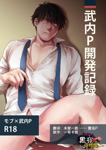 Takeuchi P Kaihatsu Kiroku |  武內P開発記錄, 中文