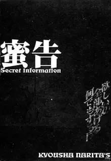 Mikkoku - Secret Information, 中文