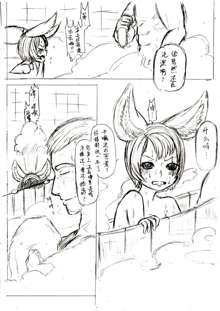 Fox in Bathroom, 中文