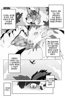 セルレギオスとリオレイア, 한국어