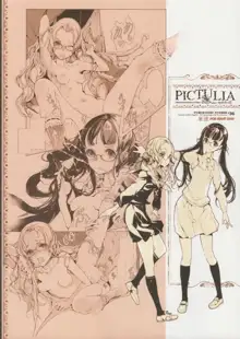 pictulia + 4Pリーフレット, 日本語