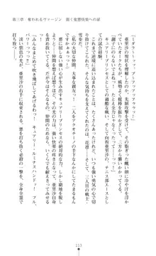 キュアリープリンセス 正義の心を悪堕ち洗脳, 日本語