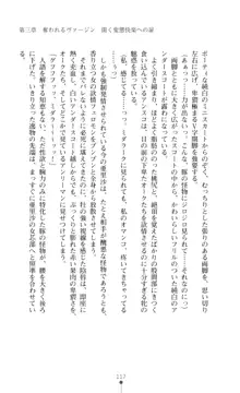 キュアリープリンセス 正義の心を悪堕ち洗脳, 日本語